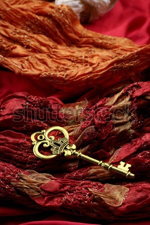 Złoty vintage luksusowe kluczowych czerwony królewski Zdjęcia stock © Akhilesh