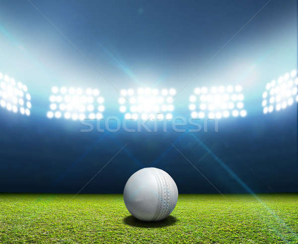 Cricket Stadium And Ball Stock photo © albund