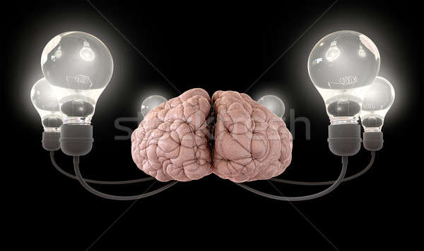 Brain And Lightbulb Imagination Black Stock photo © albund