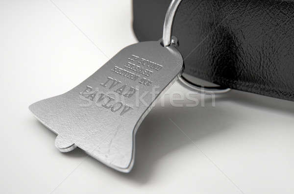 Leather Collar With Tag Stock photo © albund