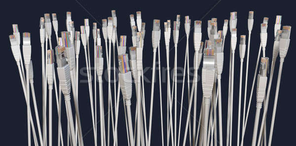 Ethernet kabel kolekcja kabli wskazując Zdjęcia stock © albund