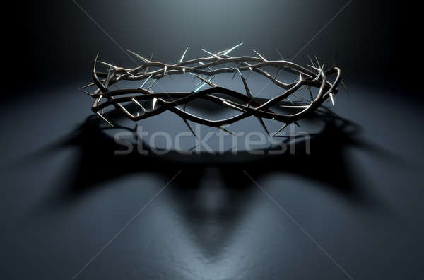 Crown Of Thorns With Royal Shadow Stock photo © albund