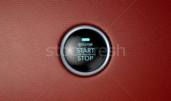 Foto stock: Inicio · rojo · cuero · botón · primer · plano