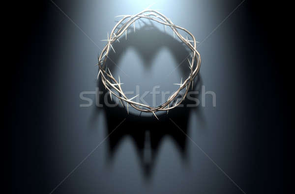 Crown Of Thorns With Royal Shadow Stock photo © albund