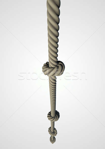 Knotted Climbing Rope Stock photo © albund
