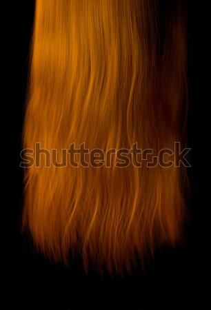 Longueur cheveux suspendu brillant gingembre isolé [[stock_photo]] © albund