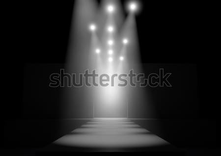 Spotlit Runway Stock photo © albund