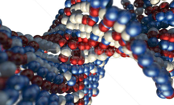 Dna Atom Stengel mikroskopische Ansicht Muster Stock foto © albund