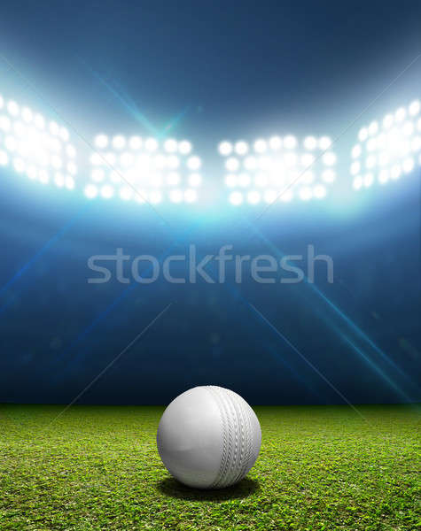 Cricket Stadium And Ball Stock photo © albund