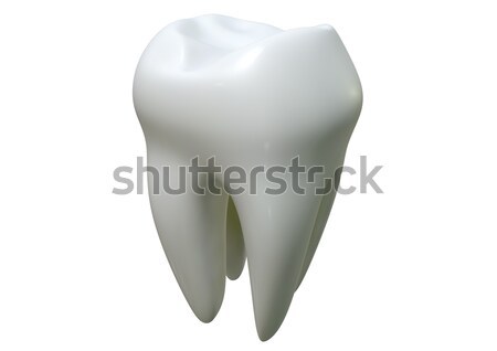 Single Tooth Stock photo © albund
