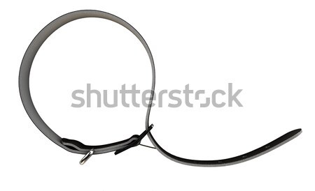 [[stock_photo]]: Ceinture · cuir · étroite · isolé · blanche