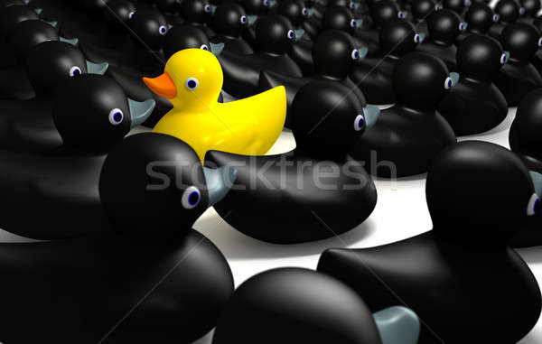 Gumy kaczka żółty kąpieli pływanie Zdjęcia stock © albund