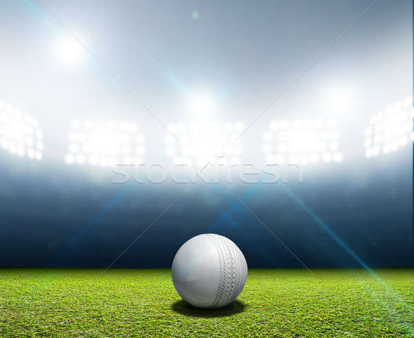 Cricket Stadium And Ball Stock photo © albund