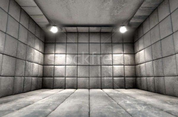 Padded Cell Dirty Stock photo © albund