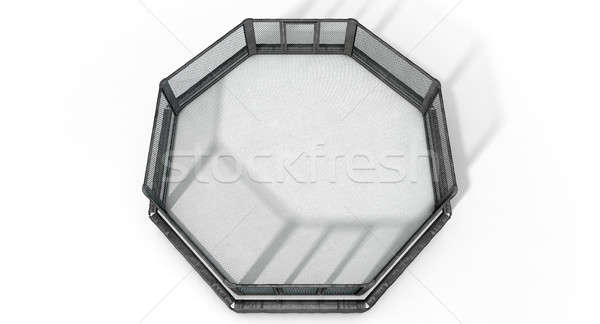 MMA Cage Stock photo © albund