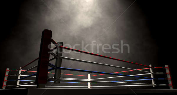 Boxing Ring Spotlit Dark Stock photo © albund