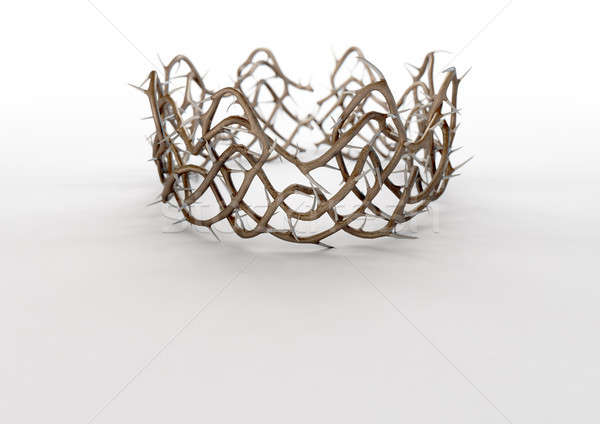 корона религиозных шип форма изолированный Сток-фото © albund