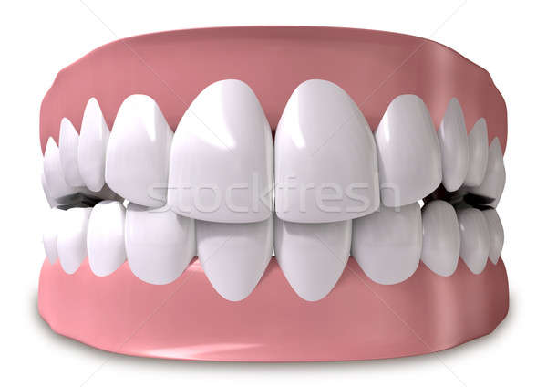 Teeth And Gums Closed Stock photo © albund