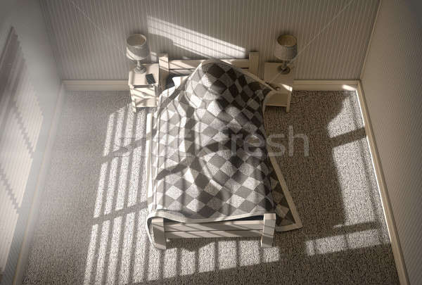 Morning Sleep In Stock photo © albund