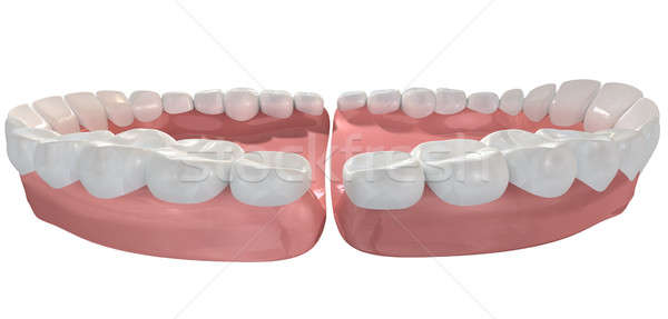 Open False Human Teeth Extreme Closeup Stock photo © albund