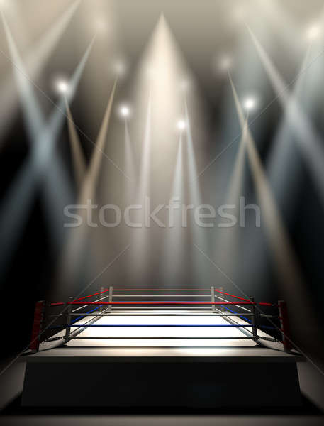 Boxing Ring Spotlit Dark Stock photo © albund