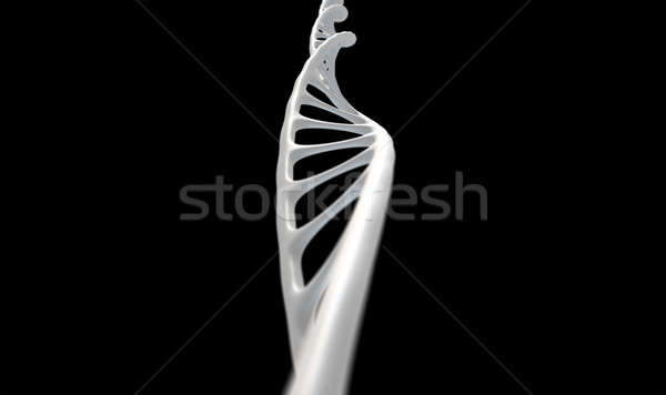 DNA Strand Micro Stock photo © albund