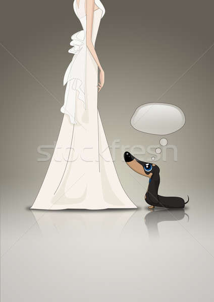 Dachsund and Bride Stock photo © albund