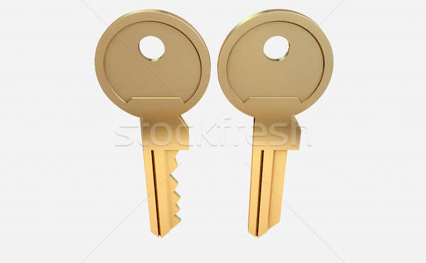 Key Blank And Cut View Stock photo © albund