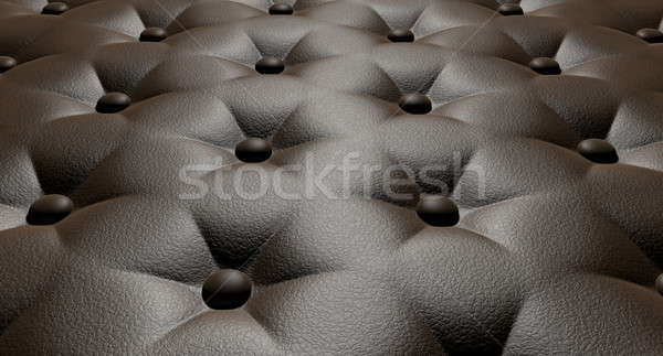 Buttoned Luxury Brown Leather Perspective Stock photo © albund