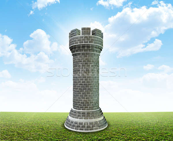 Cegły zamek trawy szachy doskonały zielone Zdjęcia stock © albund