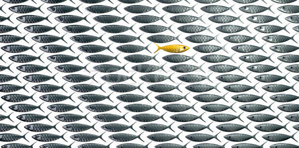 Fisch Schule Korn Perspektive Ansicht stilisierten Stock foto © albund