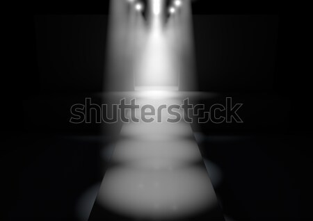 Spotlit Runway Stock photo © albund