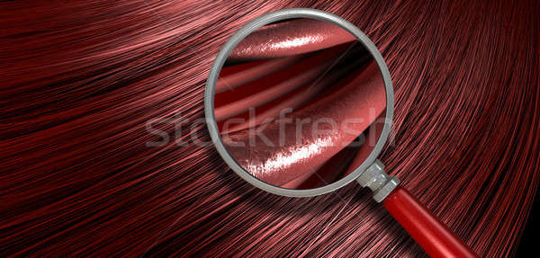 Red Hair Blowing With Magnification Stock photo © albund