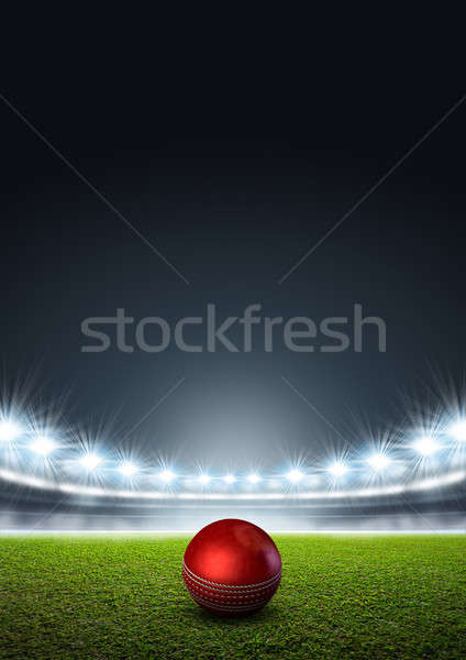 Generic Floodlit Stadium With Cricket Ball Stock photo © albund