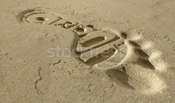Carbon Footprint In The Sand Stock photo © albund