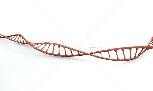 Dna Mikro mikroskopische Ansicht Stil Technologie Stock foto © albund