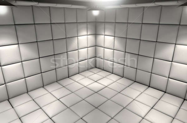 Padded Cell Stock photo © albund