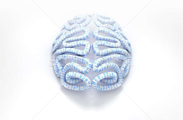 Stylisé cerveau ordinateur [[stock_photo]] © albund