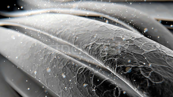 Mikroskopijny włosy makro widoku Zdjęcia stock © albund