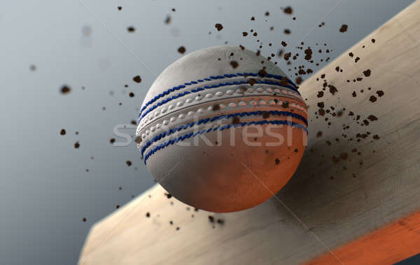 Cricket Ball Striking Bat In Slow Motion Stock photo © albund