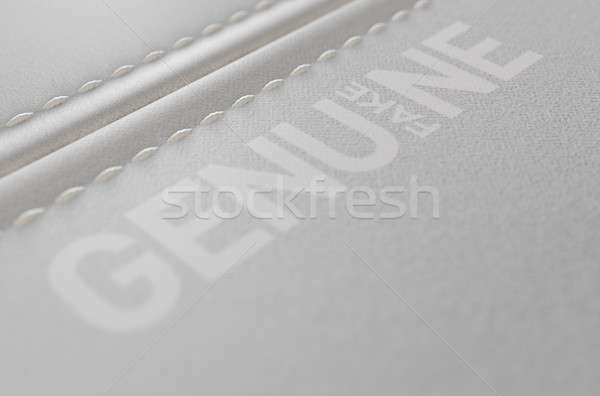 Canvas Material And Stitched Seam Fake Print Stock photo © albund