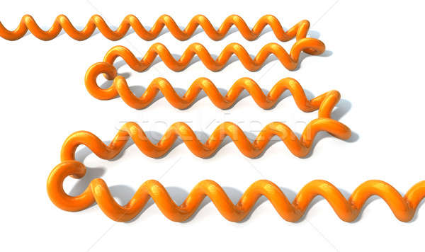 Coiled Telephone Cable Stock photo © albund