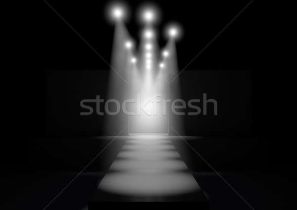 Spotlit Runway Stock photo © albund