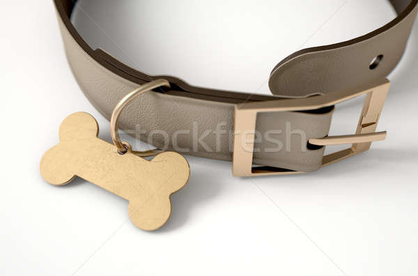 Leder Tag braun Hund Messing Knochen Stock foto © albund