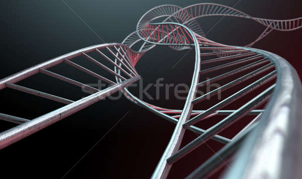 Spiral Genetics Strands Stock photo © albund