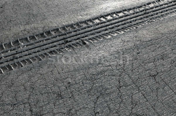 Tyre Track In The Ground Stock photo © albund