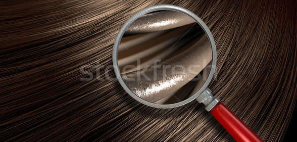 Brown Hair Blowing With Magnification Stock photo © albund