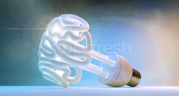 Brain Flourescent Light Bulb Stock photo © albund