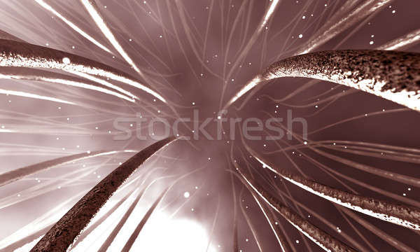 Mikroskopische Nerven 3d render Ansicht medizinischen Stock foto © albund