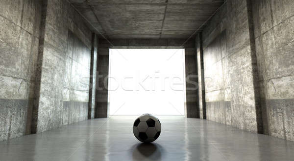 Сток-фото: футбольным · мячом · спортивных · стадион · туннель · посмотреть